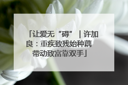 让爱无“碍”｜许加良：重疾致残始种藕 带动致富靠双手