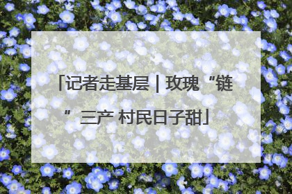 记者走基层｜玫瑰“链”三产 村民日子甜