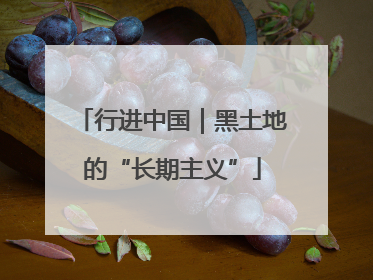 行进中国｜黑土地的“长期主义”