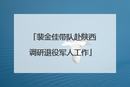 裴金佳带队赴陕西调研退役军人工作
