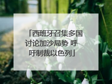 西班牙召集多国讨论加沙局势 呼吁制裁以色列