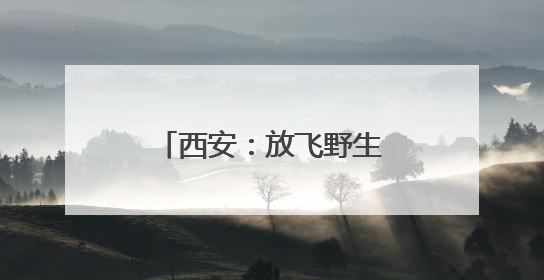 西安：放飞野生鸟类回归自然