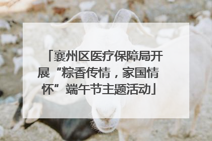 襄州区医疗保障局开展“粽香传情，家国情怀”端午节主题活动