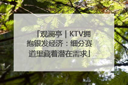 观澜亭｜KTV拥抱银发经济：细分赛道里藏着潜在需求