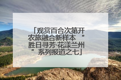 观赏百合次第开 农旅融合新样本 “胜日寻芳·花漾兰州”系列报道之七