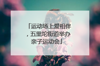 运动场上爱相伴，五里坨街道举办亲子运动会