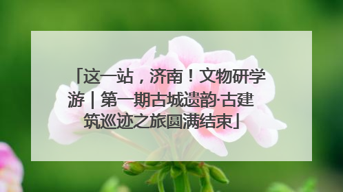 这一站，济南！文物研学游｜第一期古城遗韵·古建筑巡迹之旅圆满结束