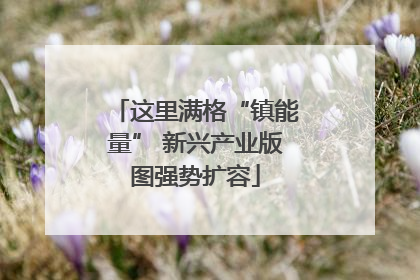 这里满格“镇能量” 新兴产业版图强势扩容