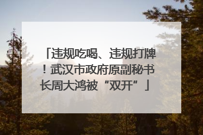 违规吃喝、违规打牌！武汉市政府原副秘书长周大鸿被“双开”