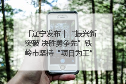 辽宁发布｜“振兴新突破 决胜勇争先”铁岭市坚持“项目为王”推进经济高质量发展