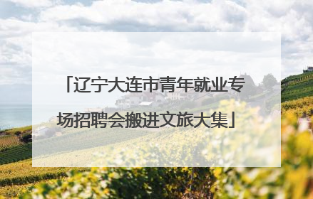 辽宁大连市青年就业专场招聘会搬进文旅大集