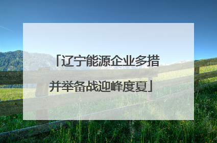 辽宁能源企业多措并举备战迎峰度夏