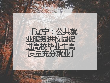 辽宁：公共就业服务进校园促进高校毕业生高质量充分就业