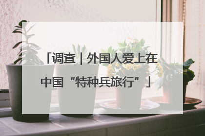 调查｜外国人爱上在中国“特种兵旅行”