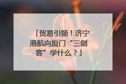 贸易引领！济宁港航向厦门“三剑客”学什么？