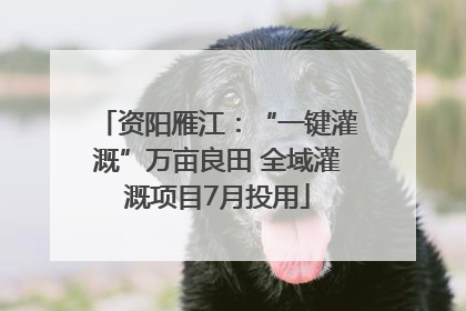 资阳雁江：“一键灌溉”万亩良田 全域灌溉项目7月投用