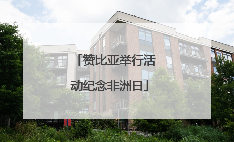 赞比亚举行活动纪念非洲日