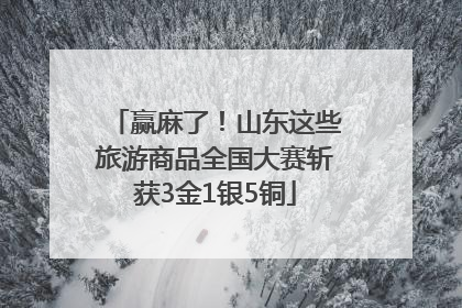 赢麻了！山东这些旅游商品全国大赛斩获3金1银5铜