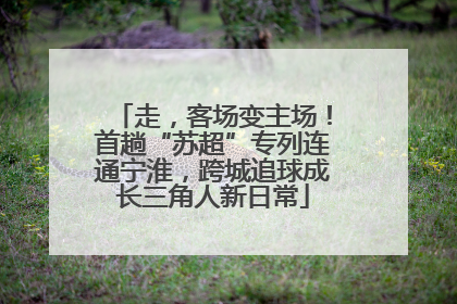 走，客场变主场！首趟“苏超”专列连通宁淮，跨城追球成长三角人新日常