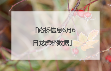 路桥信息6月6日龙虎榜数据