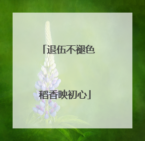 退伍不褪色 稻香映初心