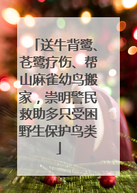 送牛背鹭、苍鹭疗伤、帮山麻雀幼鸟搬家，崇明警民救助多只受困野生保护鸟类