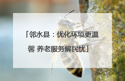 邻水县：优化环境更温馨 养老服务解民忧