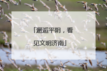 邂逅平阴，看见文明济南