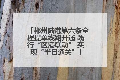 郴州陆港第六条全程提单线路开通 践行“区港联动” 实现“半日通关”
