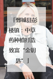 鄄城县彭楼镇：中草药种植打造致富“金钥匙”
