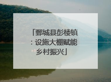鄄城县彭楼镇：设施大棚赋能乡村振兴
