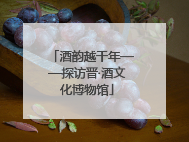 酒韵越千年——探访晋·酒文化博物馆
