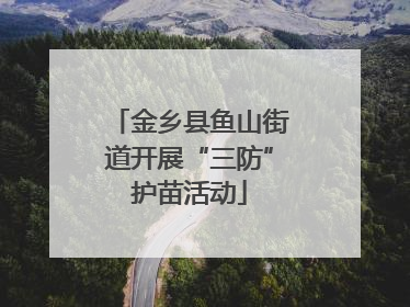 金乡县鱼山街道开展“三防”护苗活动