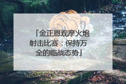 金正恩观摩火炮射击比赛：保持万全的临战态势