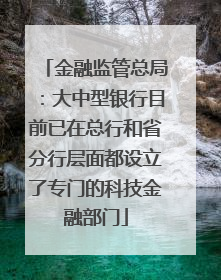 金融监管总局：大中型银行目前已在总行和省分行层面都设立了专门的科技金融部门