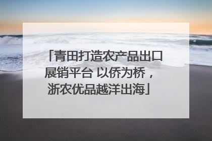 青田打造农产品出口展销平台 以侨为桥，浙农优品越洋出海