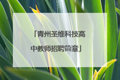 青州圣维科技高中教师招聘简章