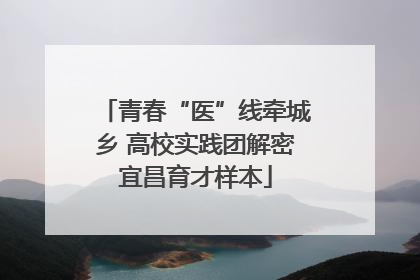 青春“医”线牵城乡 高校实践团解密宜昌育才样本
