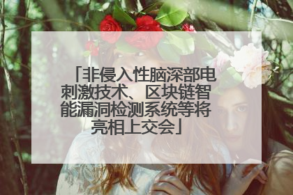 非侵入性脑深部电刺激技术、区块链智能漏洞检测系统等将亮相上交会