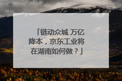 链动众城 万亿降本，京东工业将在湖南如何做？