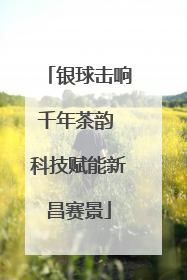 银球击响千年茶韵 科技赋能新昌赛景