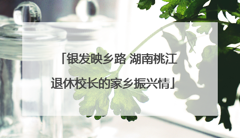银发映乡路 湖南桃江退休校长的家乡振兴情