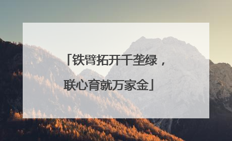 铁臂拓开千垄绿，联心育就万家金