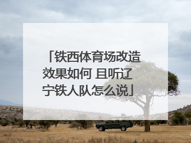 铁西体育场改造效果如何 且听辽宁铁人队怎么说