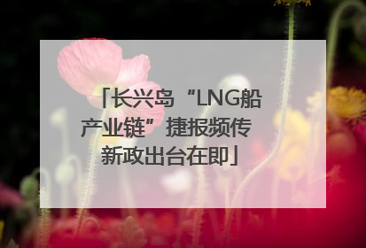 长兴岛“LNG船产业链”捷报频传 新政出台在即