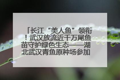 长江“美人鱼”领衔！武汉放流近千万尾鱼苗守护绿色生态——湖北武汉青鱼原种场参加2025年“全国放鱼日”增殖放流活动