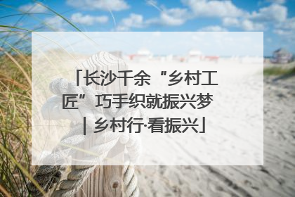长沙千余“乡村工匠”巧手织就振兴梦｜乡村行·看振兴