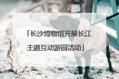 长沙博物馆开展长江主题互动游园活动