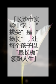 长沙市实验中学：“拔尖”是“扬长”，让每个孩子以“最长板”领跑人生