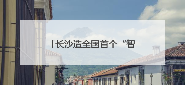 长沙造全国首个“智能押运机器人”亮相